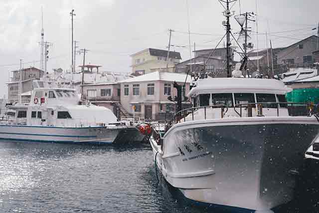沿岸で行われる季節ハタハタ漁のほか、沖合底引き網漁も行われるハタハタ。そのほか八森の港では四季に応じて多様な魚種が水揚げされる ＝2021年2月24日、保井崇志撮影