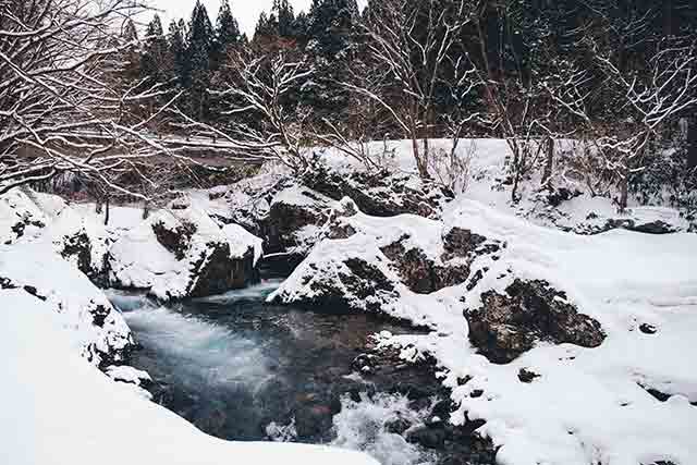 白神山地のブナの森から海に流れ出る水がハタハタの生育に影響すると考え、「NPO法人白神ネイチャー協会」では森づくりを進めている＝2021年2月25日、保井崇志撮影
