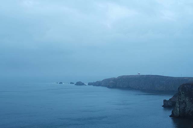 太平洋に突き出した湯沸岬（霧多布岬）
＝2021年11月20日、岩倉しおり撮影