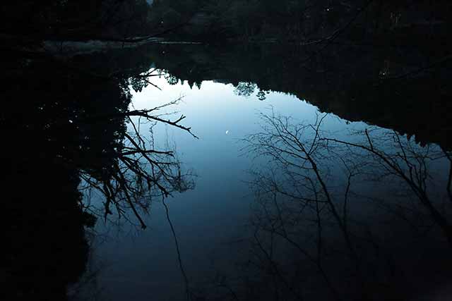 池の水面に映る月＝2020年3月20日、岩倉しおり撮影