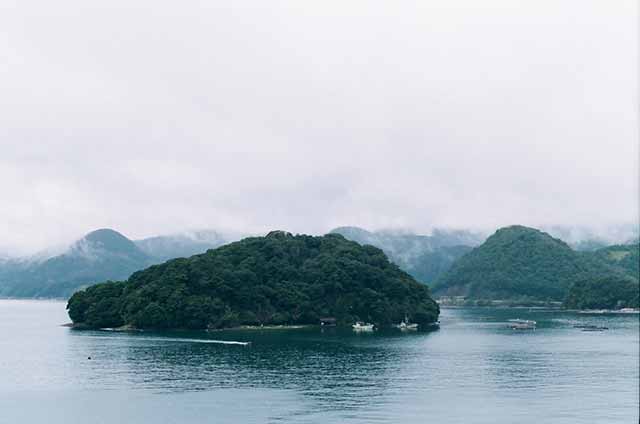 大型漁船や個人の舟が行き交うほか、名物「伊根ブリ」などの養殖場もある豊かな漁場だ＝2021年3月13日、岩倉しおり撮影