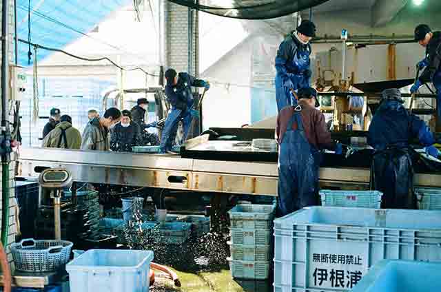 伊根漁港の名物「浜売り」。水揚げされたばかりの魚を住民が誰でも買えるようになっている＝2021年3月14日、岩倉しおり撮影