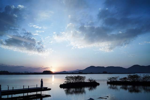 琵琶湖の内湖である西の湖。滋賀県近江八幡市に位置し、現存する内湖の中では最大の面積を誇る＝2020年12月11日、岩倉しおり撮影