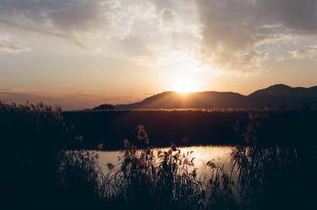 西の湖と琵琶湖を繋ぐ長命寺川沿いの夕方の風景＝2020年12月11日、岩倉しおり撮影